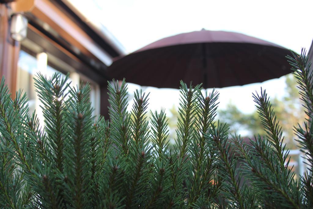Holiday Terrace Nida Zewnętrze zdjęcie